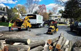 Best Sod Installation  in Hoboken, NJ