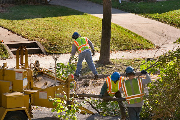 Best Seasonal Cleanup (Spring/Fall)  in Hoboken, NJ