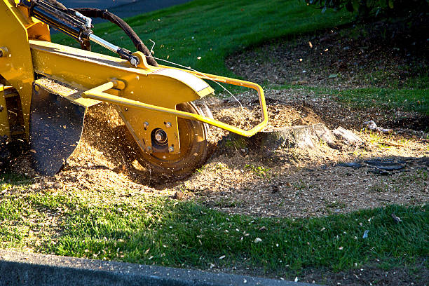 Lawn Grading and Leveling in Hoboken, NJ